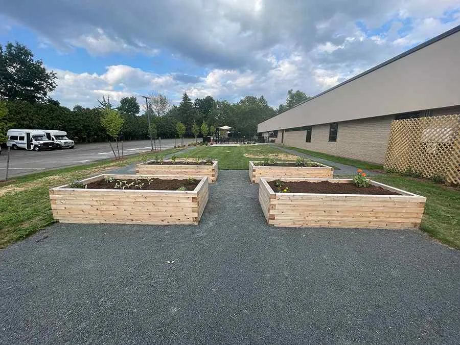 Plant boxes on lot